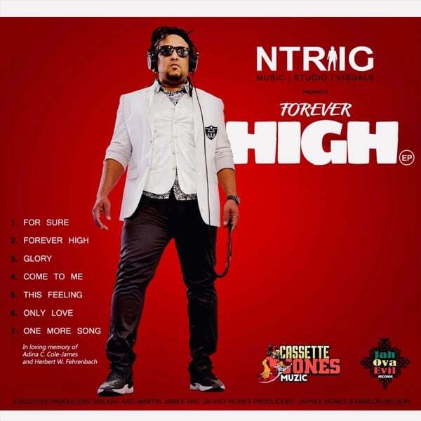 Cover art for Forever High